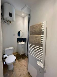 een kleine badkamer met een toilet en een wastafel bij l'oriental du V.e.l.p.a.u in Tours
