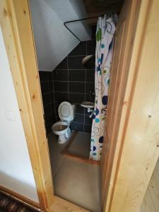 Koupelna v ubytování Mini Garden