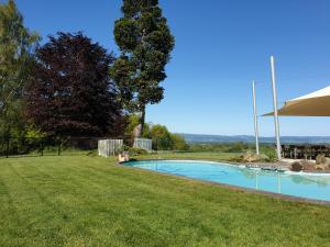 a swimming pool in a grassy yard with an umbrella at Shargmor Stable in Matamata