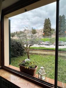 una ventana con una maceta en el alféizar de la ventana en Gli ulivi di Mafalda - Garden * Parking * City centre, en Spello