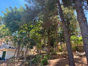 Ogród w obiekcie Casa vacanze : Villa sally
