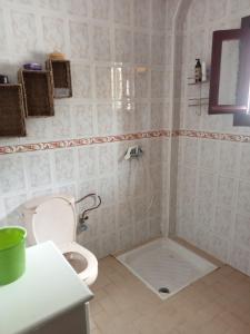 a bathroom with a toilet and a shower stall at Villa sidi Bouzid in El Jadida