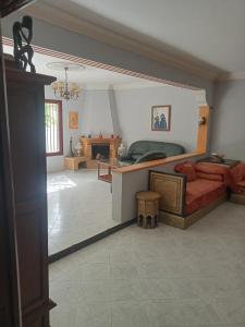 傑迪代的住宿－Villa sidi Bouzid，带沙发和壁炉的客厅