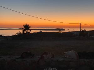 Gallery image of Nerea Sunset View Apartment in Agia Irini Paros +10 photos