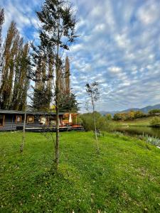 a house in a field next to a lake at Huella Patagonia Lodge in Puerto Dunn