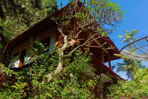 Zahrada ubytování Pondok Wisata Grya Sari