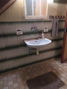 bagno con lavandino bianco e specchio di Apartmán u lesa a Jívka