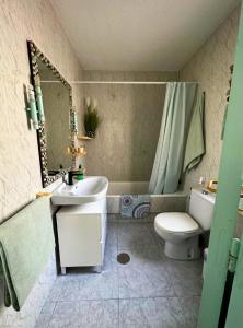 La salle de bains est pourvue d'un lavabo, de toilettes et d'un miroir. dans l'établissement Loft a Pasos del Puerto y Playa en Lo Pagán, à Lo Pagán