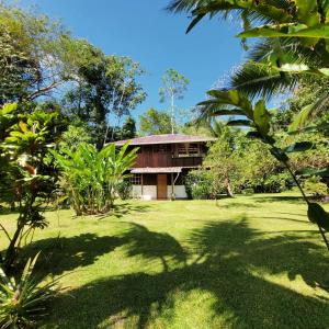 a house in the middle of a green yard at Corcovado Guest House in Drake