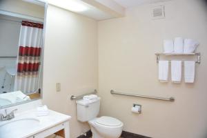 a bathroom with a toilet and a sink and a mirror at Red Roof Inn PLUS+ & Suites Chattanooga - Downtown in Chattanooga