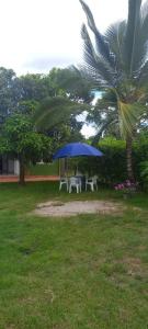 a picnic table with a blue umbrella next to a palm tree at Casa de campo para 10 personas in Ibagué