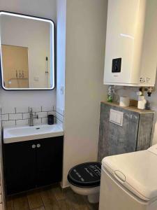 a bathroom with a toilet and a sink and a mirror at pin rollan beach in Saint-Mandrier-sur-Mer