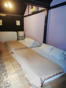 two beds in a room with purple walls at Mykampung Chalet in Ipoh