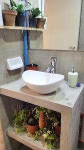 uma casa de banho com um lavatório branco e algumas plantas em Interra Apart 1 Temporario em Salta