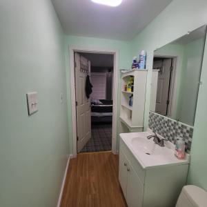 a bathroom with a sink and a mirror at Tranquility & Minutes from DTW in Romulus