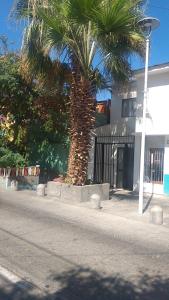uma palmeira em frente a um edifício em Hostal La Ruca em Antofagasta