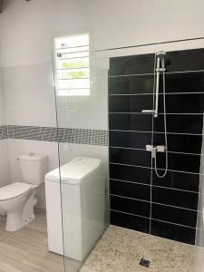 a bathroom with a toilet and a glass shower stall at Villa Varte in Baie-Mahault