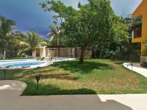 a yard with a tree and a swimming pool at Marysol beachfront next to nomads d4 in Isla Mujeres