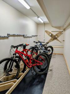 Jízda na kole v ubytování Courthouse Inn Revelstoke nebo okolí
