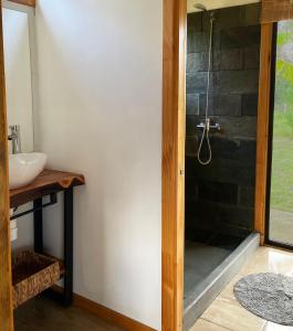 uma casa de banho com um chuveiro e um lavatório. em Taina Ta em Hanga Roa