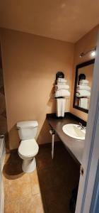 a bathroom with a toilet and a sink at VIKING INN in Gimli