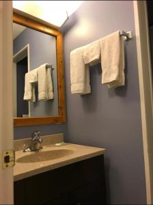 uma casa de banho com lavatório, espelho e toalhas em The little chalet motel em Brandon