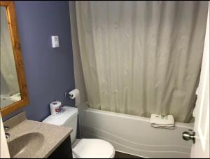 a bathroom with a toilet and a shower curtain at The little chalet motel in Brandon