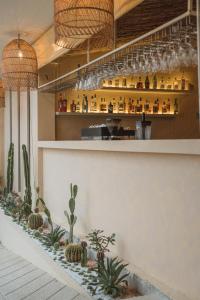 a bar with cacti and plants on a counter at Rustic and Blue Getaway in Patong Beach