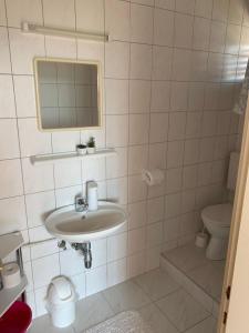 La salle de bains est pourvue d'un lavabo et de toilettes. dans l'établissement Apartment Ivica - 300 m from sea, à Tribunj