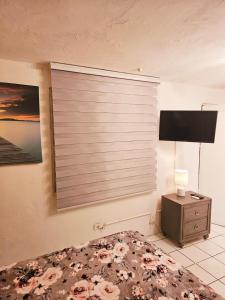 1 dormitorio con 1 cama y ventana con TV en Relaxing Tropical Studio, en San Juan