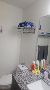 邁阿密的住宿－5350 Park inn Suite，一间带卫生间、水槽和镜子的浴室