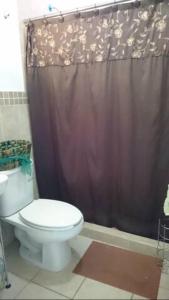 baño con aseo y cortina de ducha marrón en Casita de descanso en la Ribera de Chapala, en Chantepec