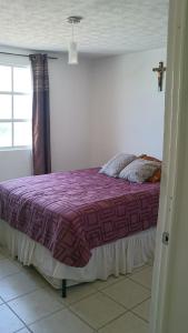 een slaapkamer met een paars bed en een raam bij Casita de descanso en la Ribera de Chapala in Chantepec
