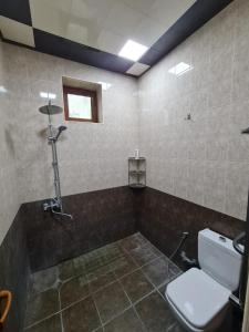 y baño con aseo y ducha. en Elnr Small swing pool villa, en Daşca