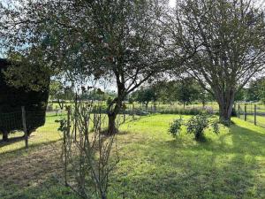 Κήπος έξω από το LONOMA - Maison entière terrasse couverte et jardin clos