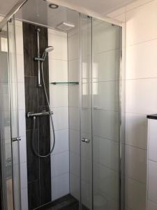 een badkamer met een douche en een glazen deur bij Vakantiehuis voor 6 personen in Opheusden