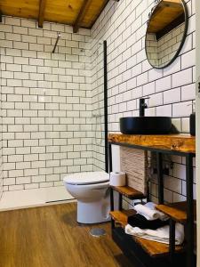 een badkamer met een toilet en een wastafel bij La So Casa -En el corazón de Asturias in Armiello