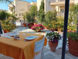 Градина пред Mediterraneo B&B