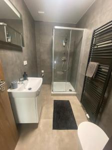 a bathroom with a white sink and a shower at Černá růže - Apartmán 6 in Pilsen