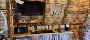 een keuken met een wastafel en een tv aan de muur bij La cabane des amoureux in Sarlat-la-Canéda