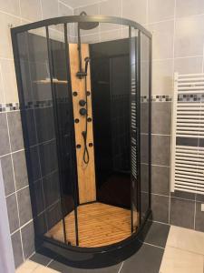 een douche met een glazen deur in de badkamer bij Appartement centre ville au calme in Auxerre