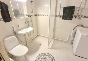 uma casa de banho com um WC, um lavatório e um chuveiro em Tilava kolmio upealla järvinäköalalla 3h+k em Uusikaupunki