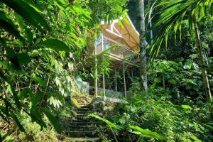 uma escada que leva até uma casa na selva em Remote Home near Secret Lagoon with Motorcycle em Siquijor