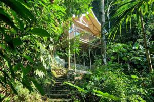 a staircase leading up to a house in the jungle at Remote Home near Secret Lagoon with Motorcycle in Siquijor