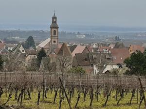 a town with a bunch of vineyards and a church at chez Coco in Riquewihr