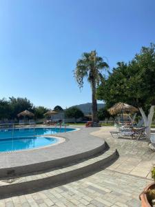 een zwembad met stoelen en parasols en een palmboom bij Manos Pension in Faliraki
