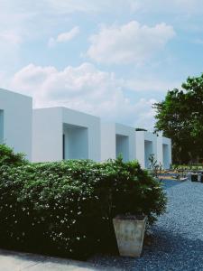 a white building with a bush in front of it at TJ Garden & Resort in Ban Dan Chang +4 photos