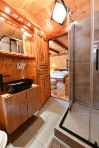 a bathroom with a sink and a shower at Guest House Martin in Korana