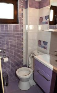 La petite salle de bains est pourvue de toilettes et d'un lavabo. dans l'établissement Villa Spiros, à Ioannina