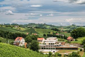 a house on a hill with a vineyard at Landgut am Pößnitzberg in Leutschach